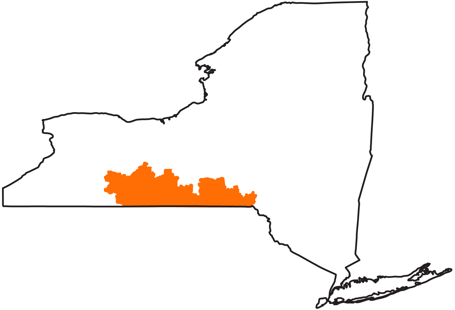 New York State map highlighting the Southwest region